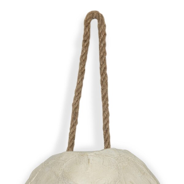 Turtle Shell Accessory
